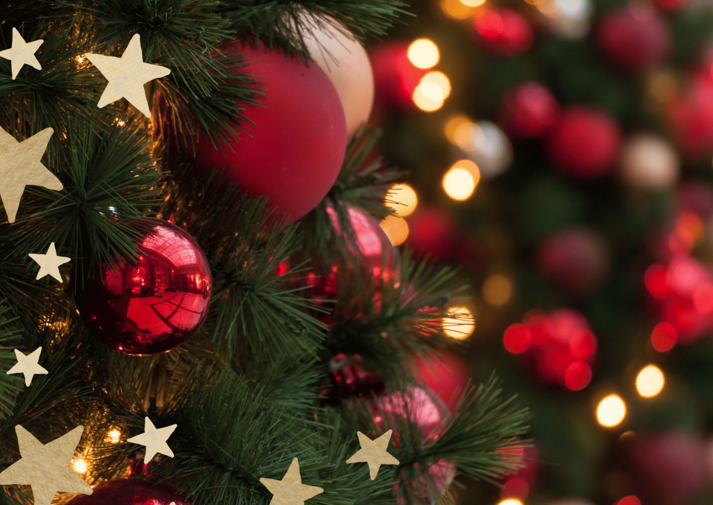 Aqua Tegernsee Restaurant Bistro